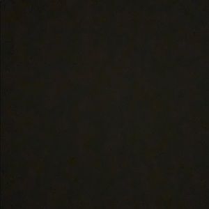 Meet your Posher, Camryn